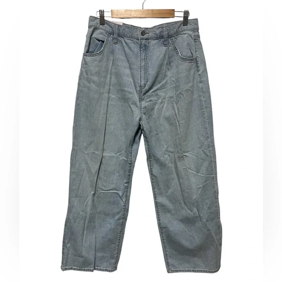 NWT  Joe's  Jeans  The pleated wide leg in 'charming lt blue'  size 32 - Picture 3 of 6